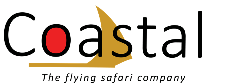 CC04-new-cq-the-flying-safari-company-logo